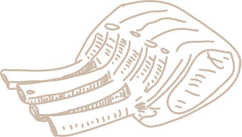 Ribs Illustration