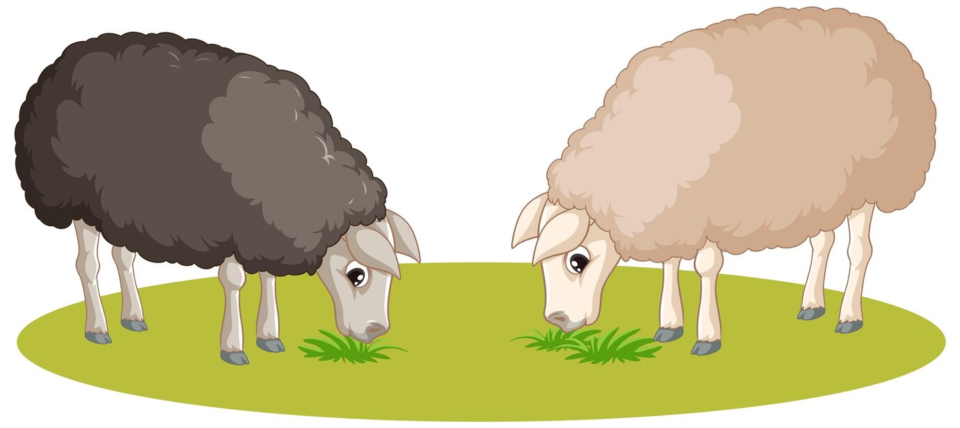 Sheep Icon